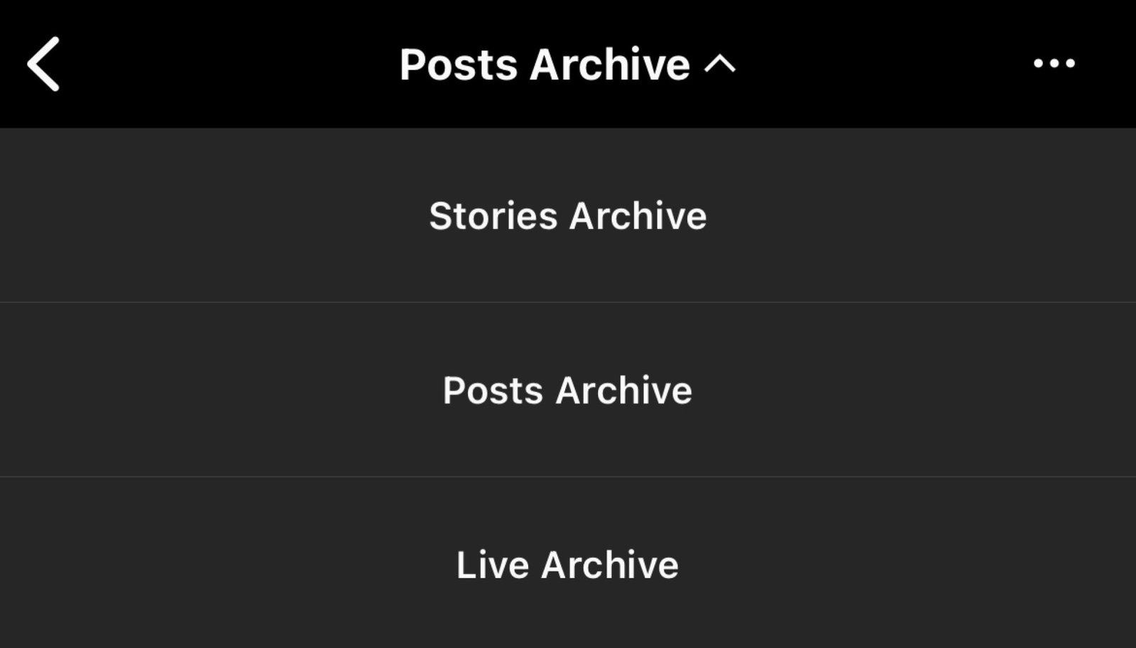 screenshot of instagram posts archive tab