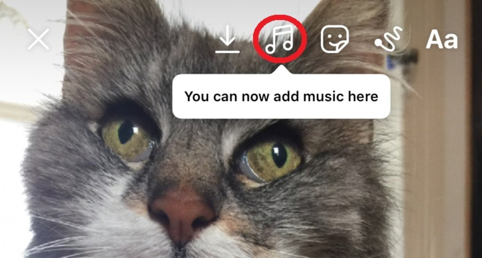 How to add music to an Instagram Story